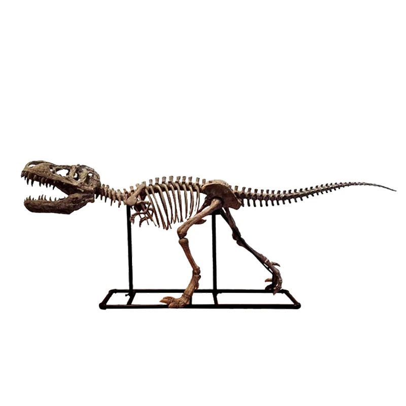 

Overlord dinosaur simulation skeleton fossil large household animal ornament window decoration resin handicraft