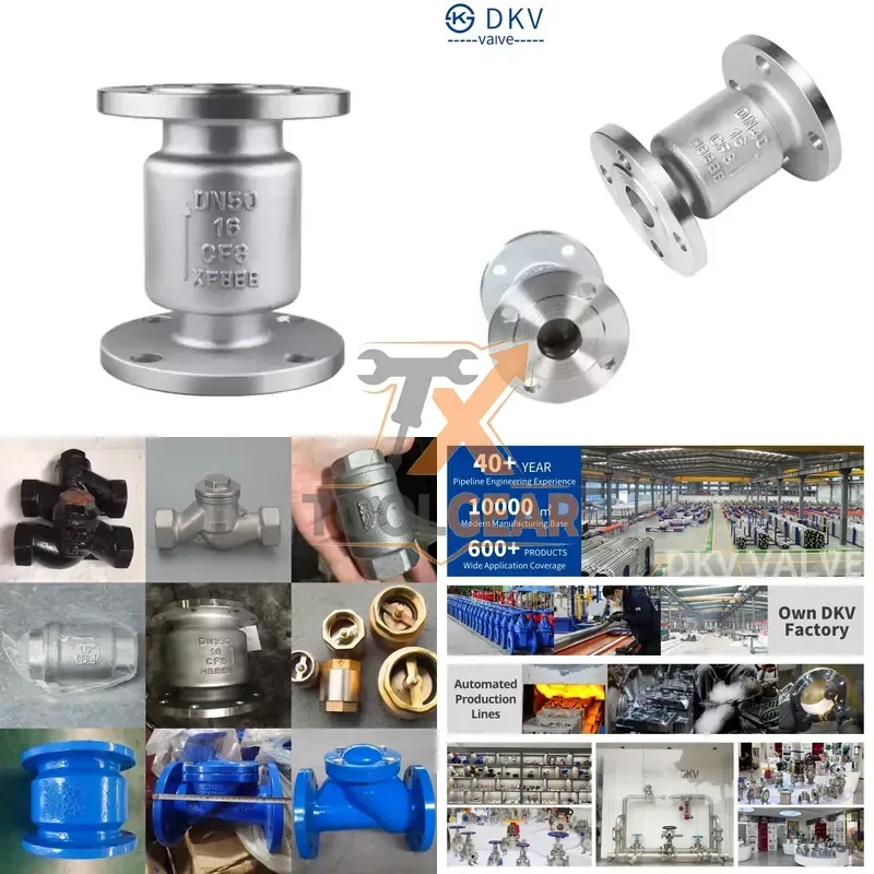 2026China*Factory* DKV Vertical Non-Return Valve PN16 Stainless Steel 304 Flange Lift One-Way Check Valve SS304 Vertical