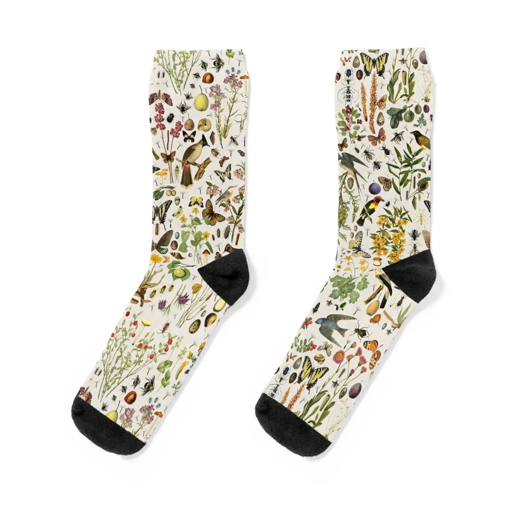 

Biology of America USA Socks anti-slip ankle man Luxury Woman Socks Men's