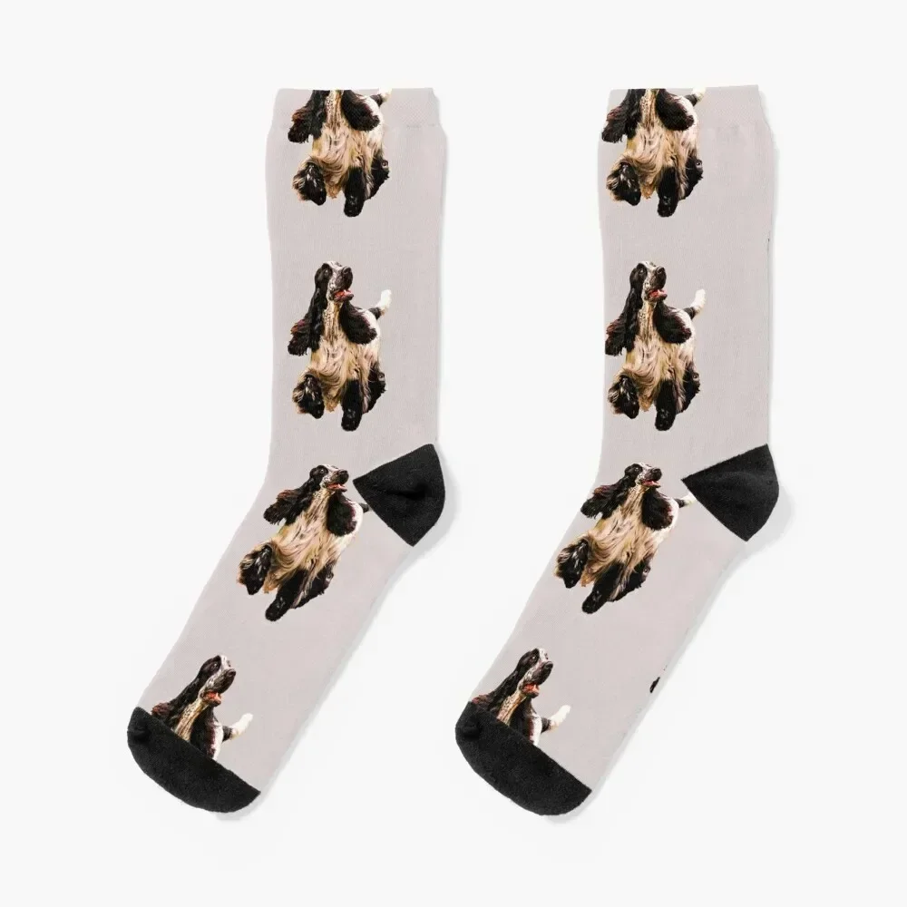 Cocker Spaniel on a merry dog walk Socks Christmas winter gifts Women's Socks Men's