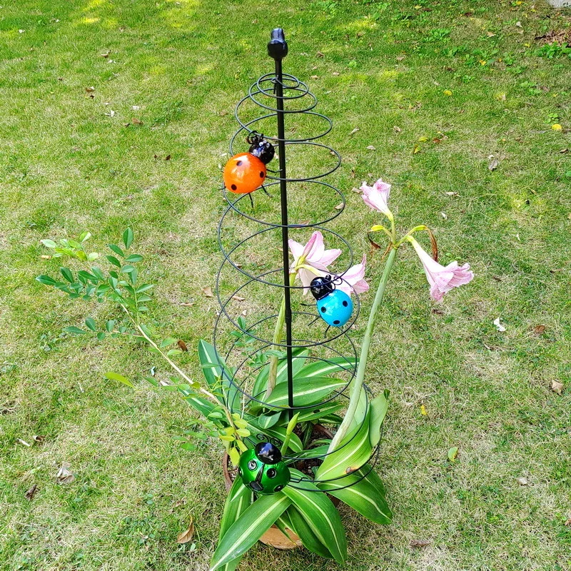 Outdoor Iron Climbing Rattan Trellis Garden Plant Support for Roses & Clematis Rustproof Vine Frame Balcony Potted Flower Stand