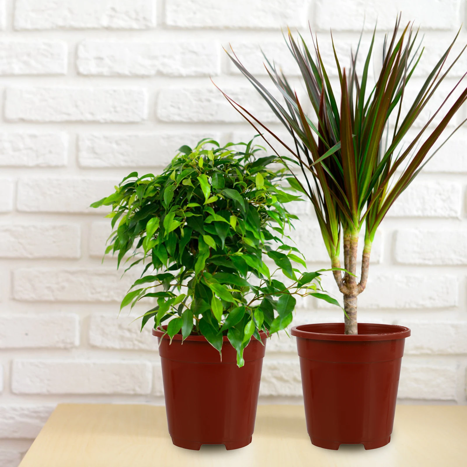

15pcs Sturdy Resin Flower Pot Root-Controlling Garden Planter Infiltration Design Nursery Plant Container Plastic Planter For