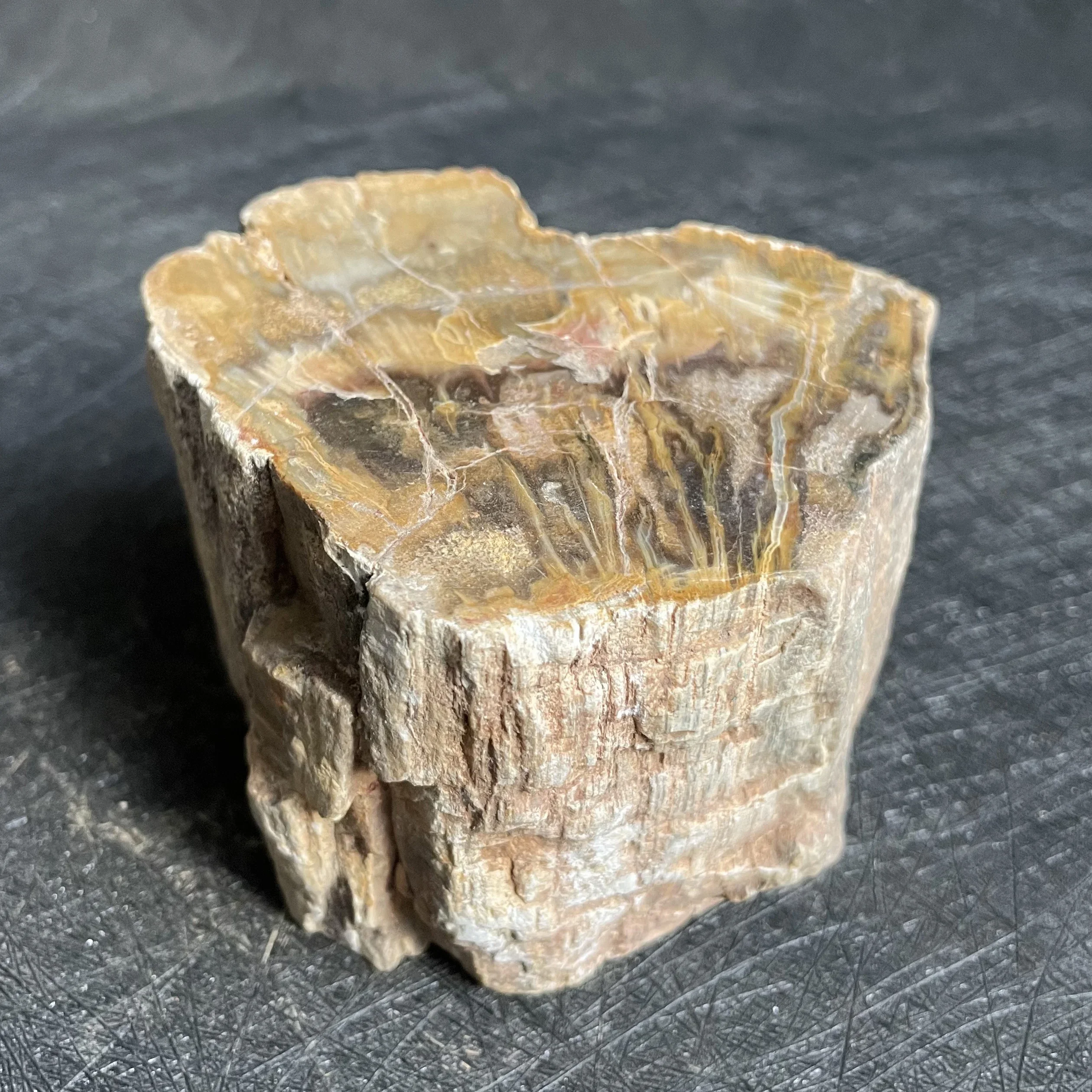 

Natural Crystal Petrified Wood Slice Coasters Polished Rock Slab Decoration Stone Dish Healing Reiki Stump Madagascar