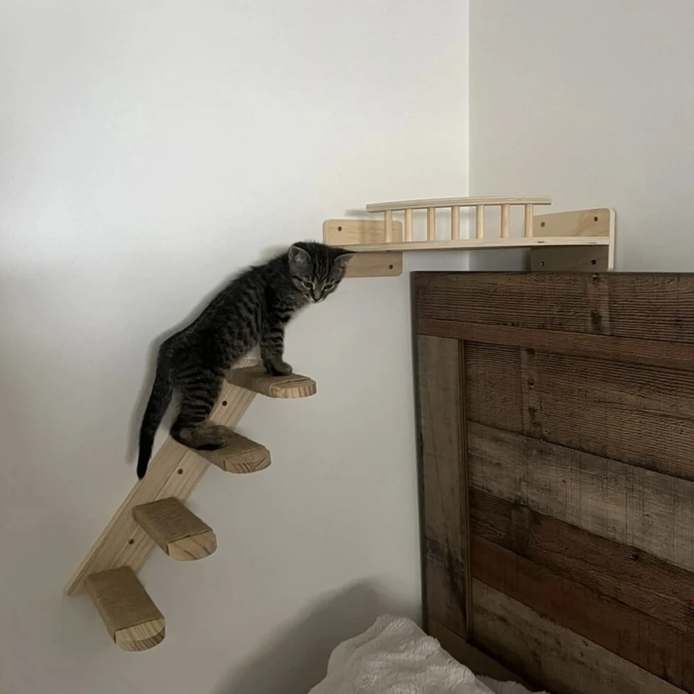 Wandmontiertes Katzenregal, schwebende Liegefläche, modernes Katzen-Wandmöbel, robustes, platzsparendes Katzenbett für Hauskatzen und Kätzchen zum Spielen und Ausruhen – Detail 20