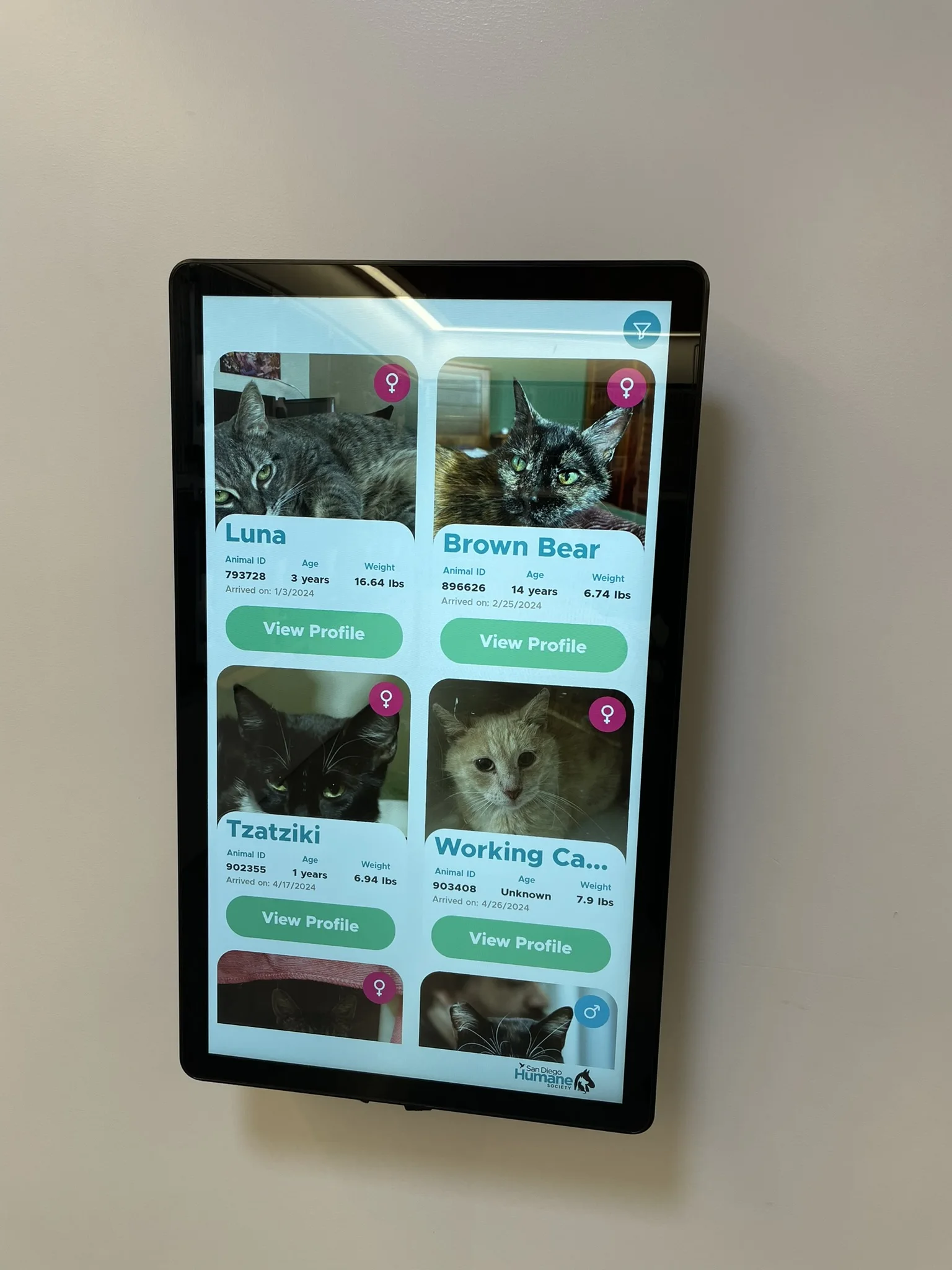 Android 14-in-1 21.5 23.6 24 32-inch LCD Capacitive Touch Screen Advertising Display Smart Display Wall Mounted Digital Signage
