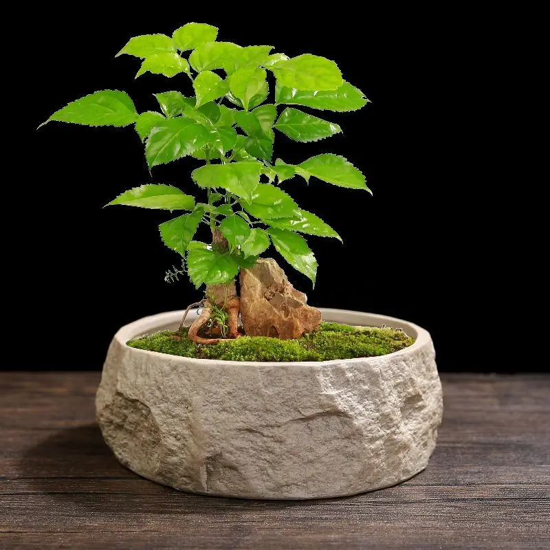 Breathable Flower Pot Faux Stone Texture Wide Flower Pot Succulent Ceramic Pottery Bonsai Planters Rustic Garden Supplies