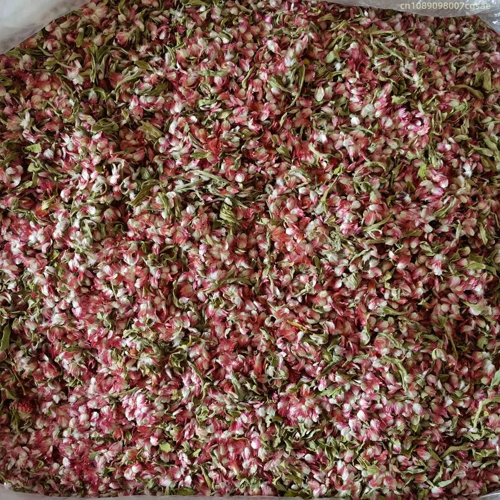High-Quality Natural Gomphrena - Candle Making And Perfume review and price