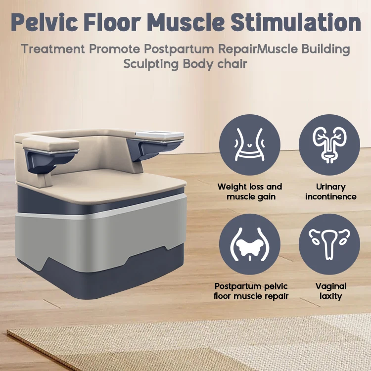 Ems كرسي المهبل تشديد أرضية الحوض محفز العضلات بعد الولادة إصلاح تسلا Ems سلس البول كرسي أرضية الحوض
