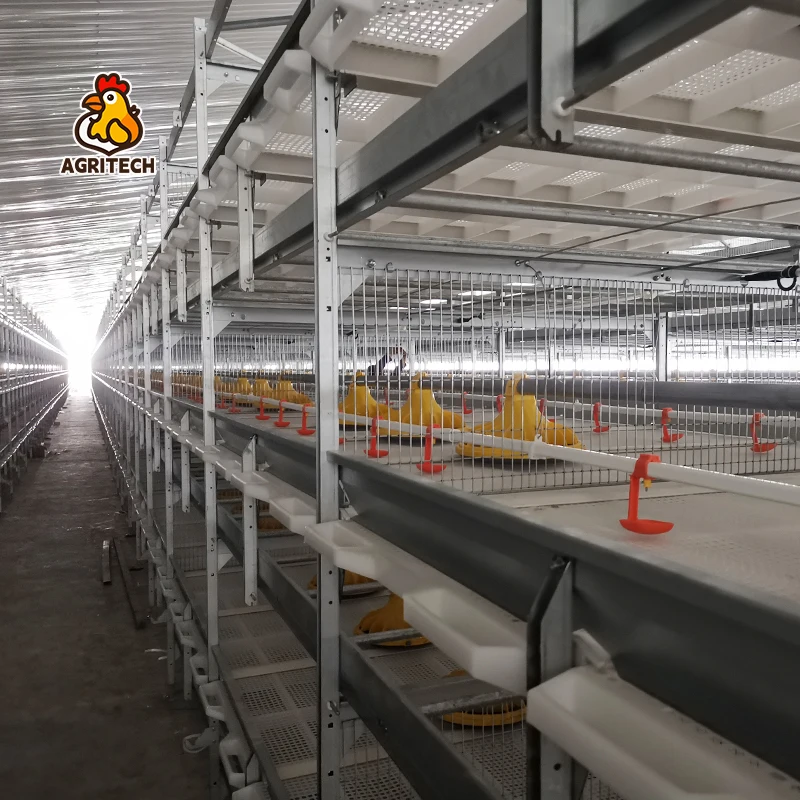 

Steel Structure Chicken Building Shed Broiler Cage Poultry Farm House.