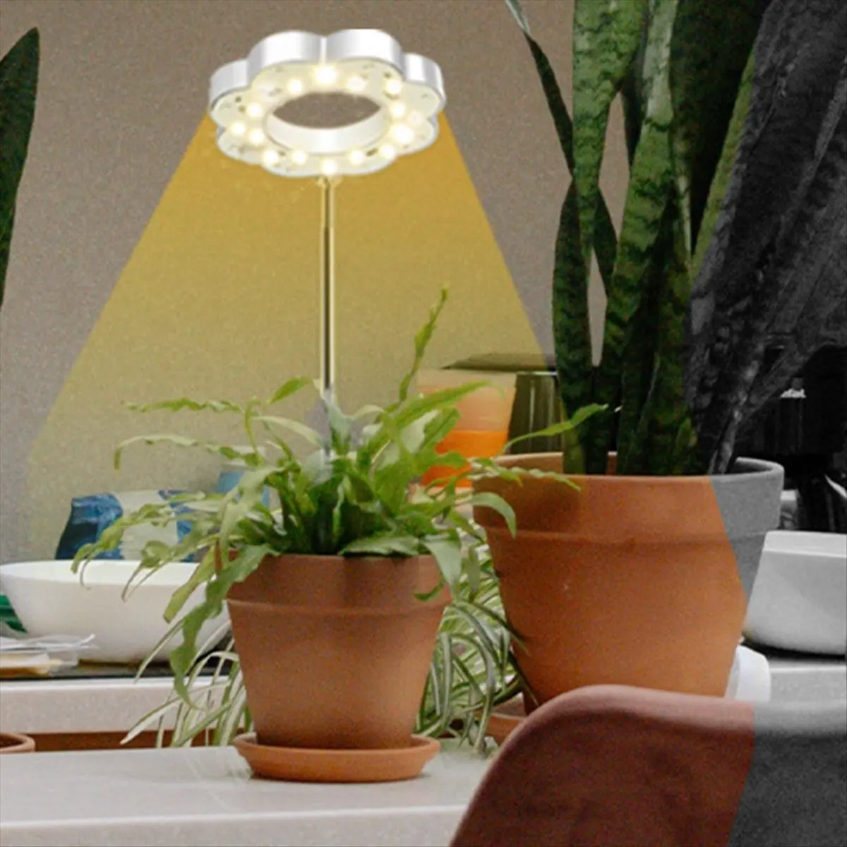 morning Plant Grow Lights for Indoor Plants, Full Spectrum LED Plant Light with Detachable Stand, Growing Lights with Auto Timer