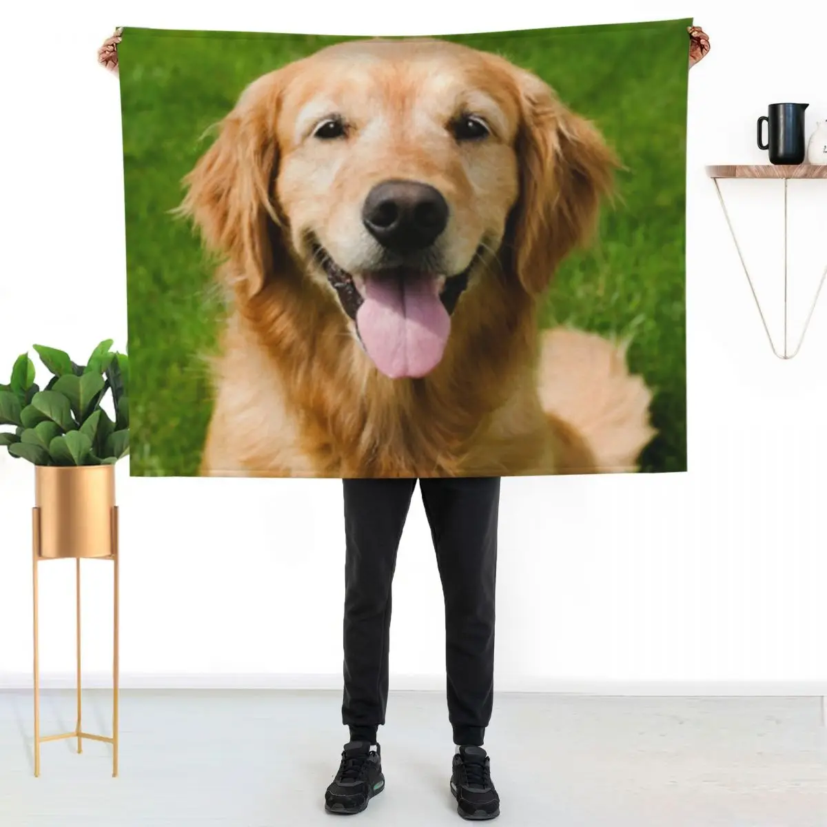 Labrador Throw Blanket couch cozy soft plush fuzzy picnic outdoor blanket