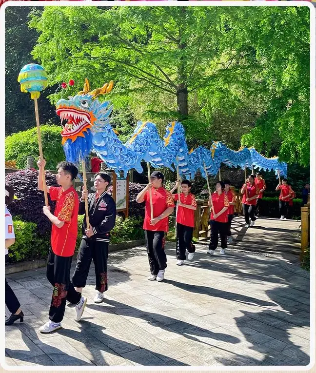 Adulto 6m china dragão dança suclud pólo traje de seda 4 jogadores tamanho 4 jogo ao ar livre brinquedos esportivos evento parque desempenho festival