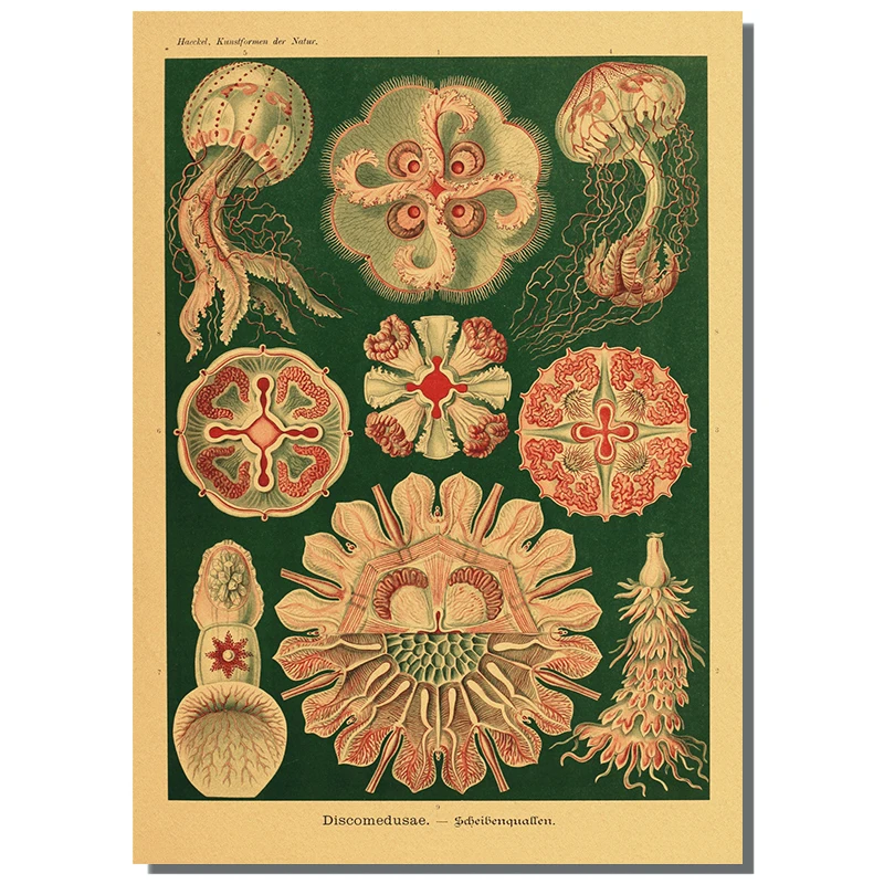 Retro Botanical Prints Posters Kraft Paper Plant Flower Illustration Vintage Home Study Room Art Wall Decor Aesthetic Painting