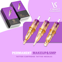 EZ V System Permanent Makeup Cartridge Tattoo Needles Micropigmentation Permanent Make-Up Eyebrows Eyelinver Lips Microblading
