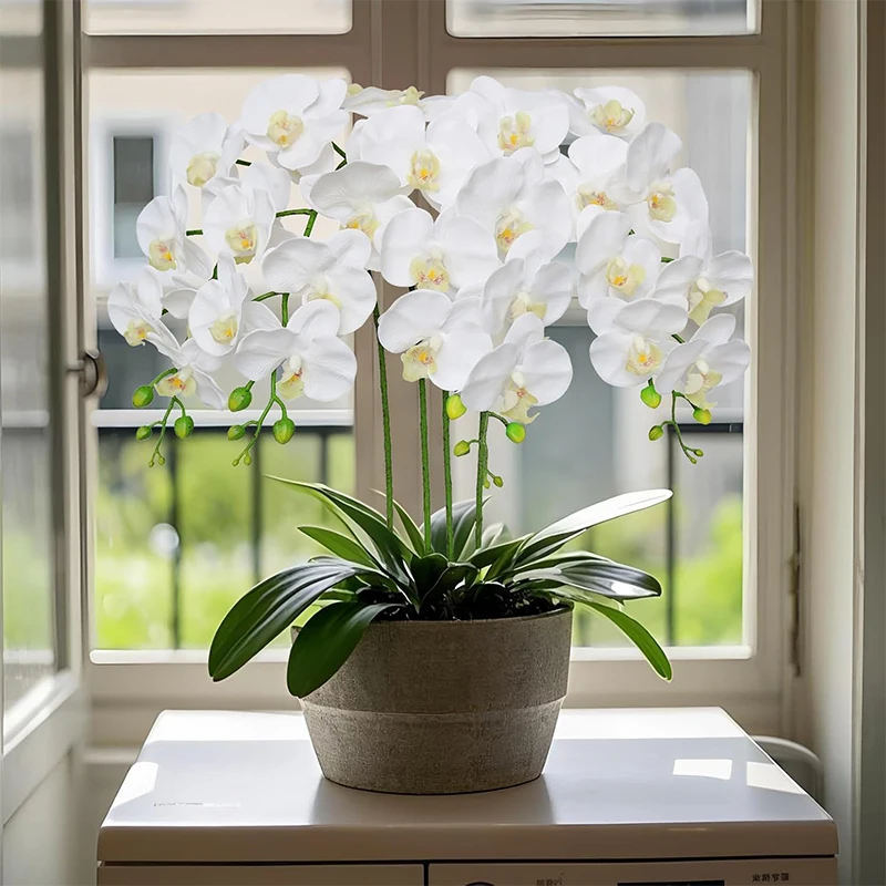 Thumbnail 4 - #9 Trending Vase Fillers Right Now