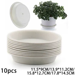 Maceta redonda de PP para plantas suculentas, bandeja de maceta, platillo, Base de riego de lado plano, 10 piezas