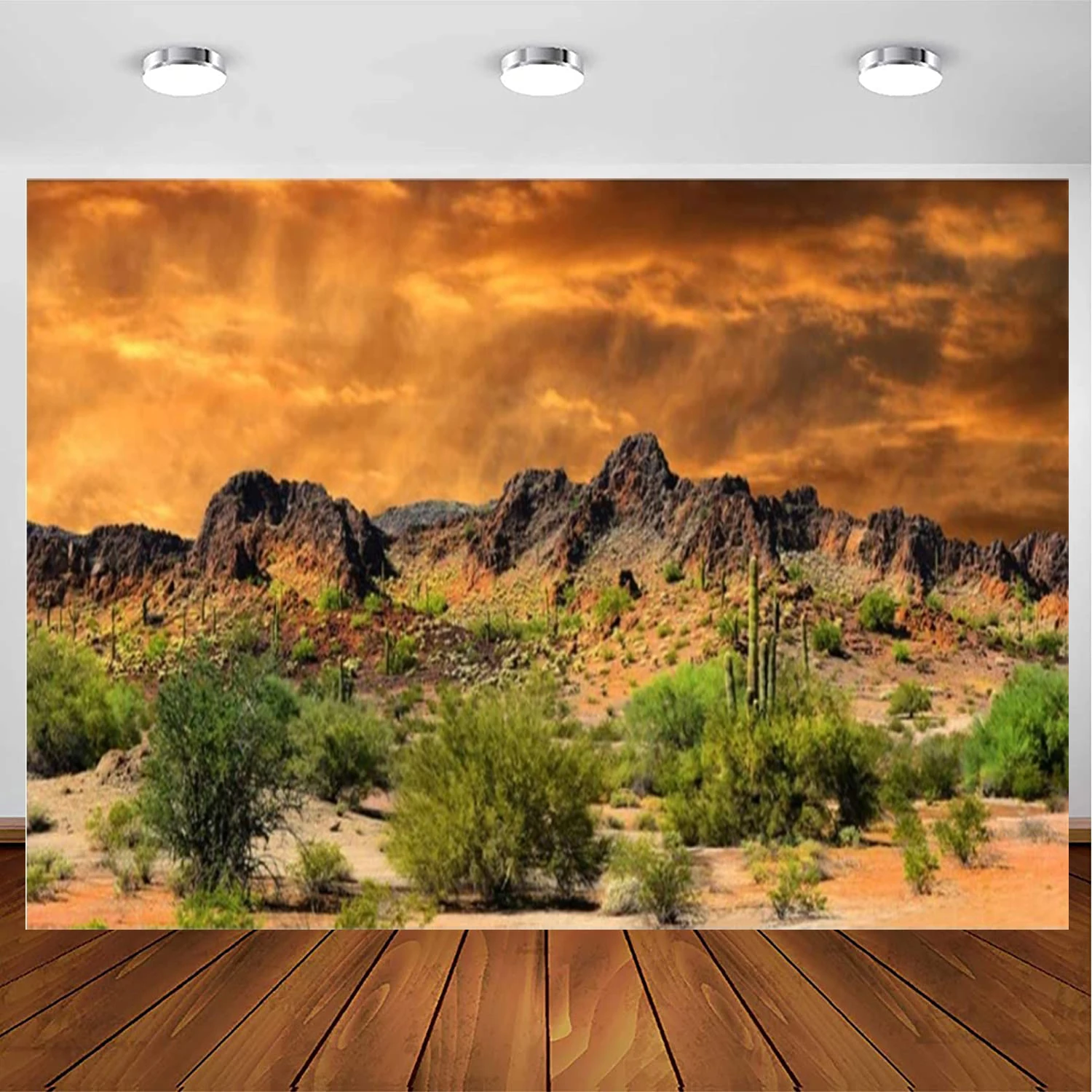 

Desolate Desert Photography Backdrop Sunset Glow Cactuses Weathered Mountains Scenic Background Wedding Shoot Indoor Decors