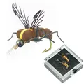 Gray Mosquito