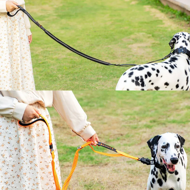 Robuste Hundeleine mit elastischem Bungee für mittelgroße und große Hunde – Stoßdämpfung und Sicherheitsclip im Lieferumfang enthalten – Detail 18