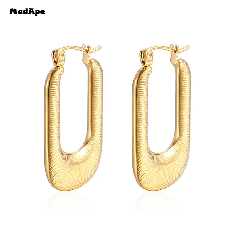 Silver Gold Color Chunky Hoop Earrings for Women Men Punk Geometric Earrings Fine Jewelry Wholesale