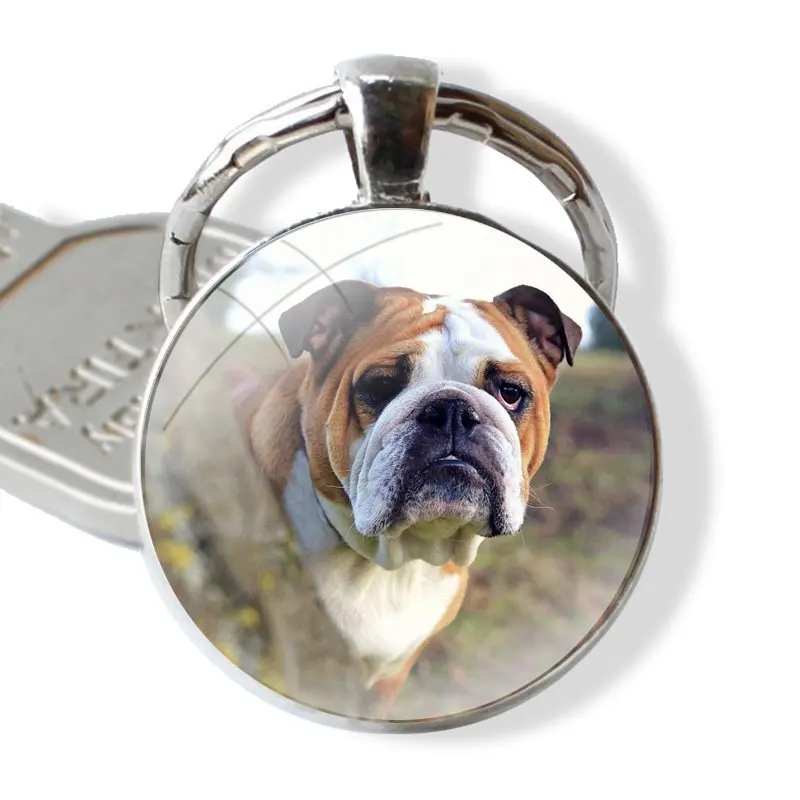 Keychain Handmade Glass Cabochon Key Ring Holder Pendant Key Chains Olde English Bulldog