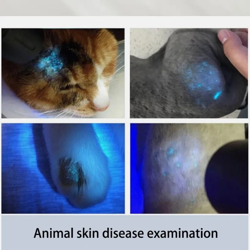 Pet Wood's Lamp UV Flashlight Ultraviolet Light for Cat Dog Skin Observation Check Fungal Stains Urine Traces