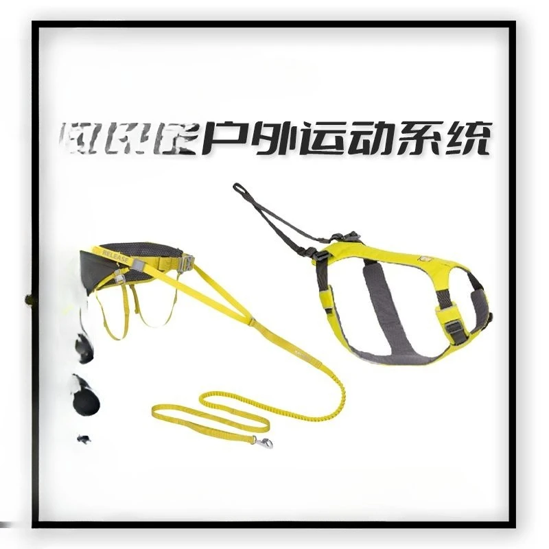 Outdoor sports system Dog leash Medium and small dog leash