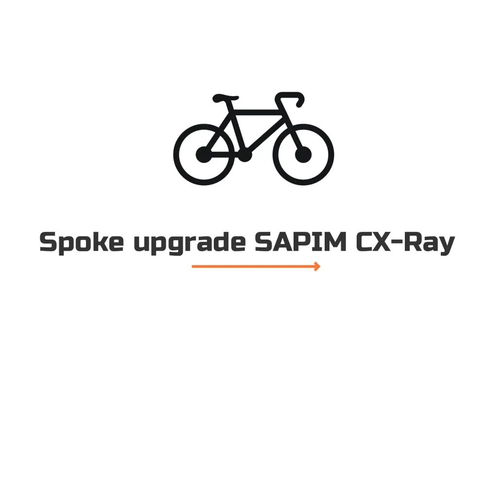 

Cost For Upgrade The Spokes From Pillar 1432 To SAPIM CX-RAY For 20/24 Holes Wheels