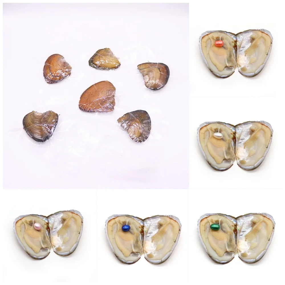 

Vacuum-packed Small River Mussels 10pcs/pack with A Randomly Colored Rice Shape Pearl Bead Handmade Necklace Bracelet Jewelry