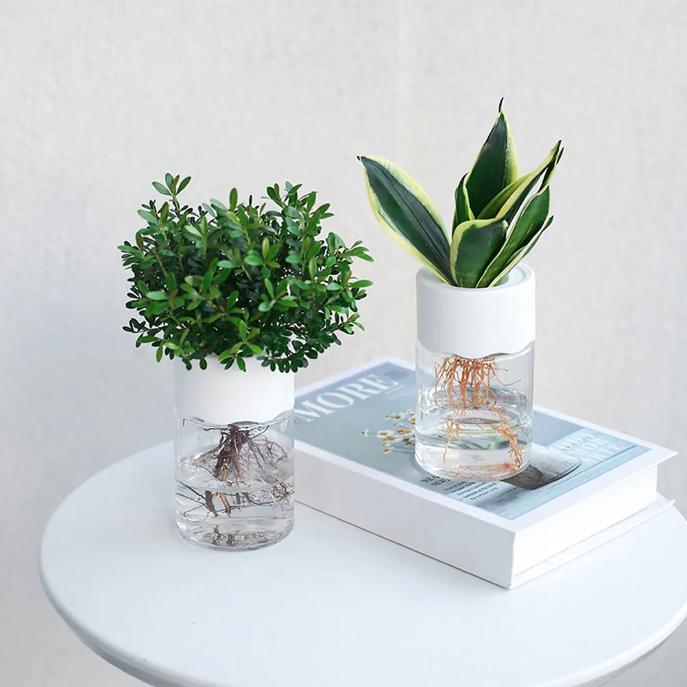 

6Pcs Transparent Hydroponic Plant Pots Plastic Round Containers Indoor Desk Planters Home Decor Propagation Vase