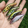 dw63 4PCS BCFJ