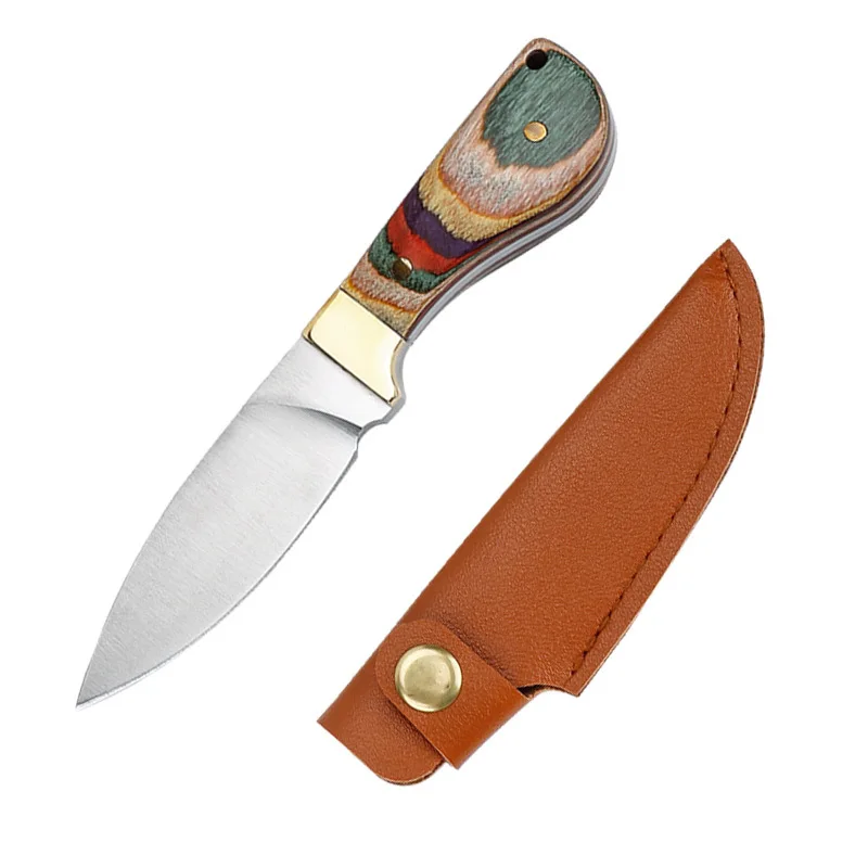 Handheld meat knife, outdoor camping picnic knife, barbecue small straight knife, portable knife