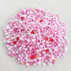50Pcs 3D Colorful Flowers Mixed Series Nail Art Decorations Translucent Aurora Camellia Rose Nail Charms Accessories DIY Nails