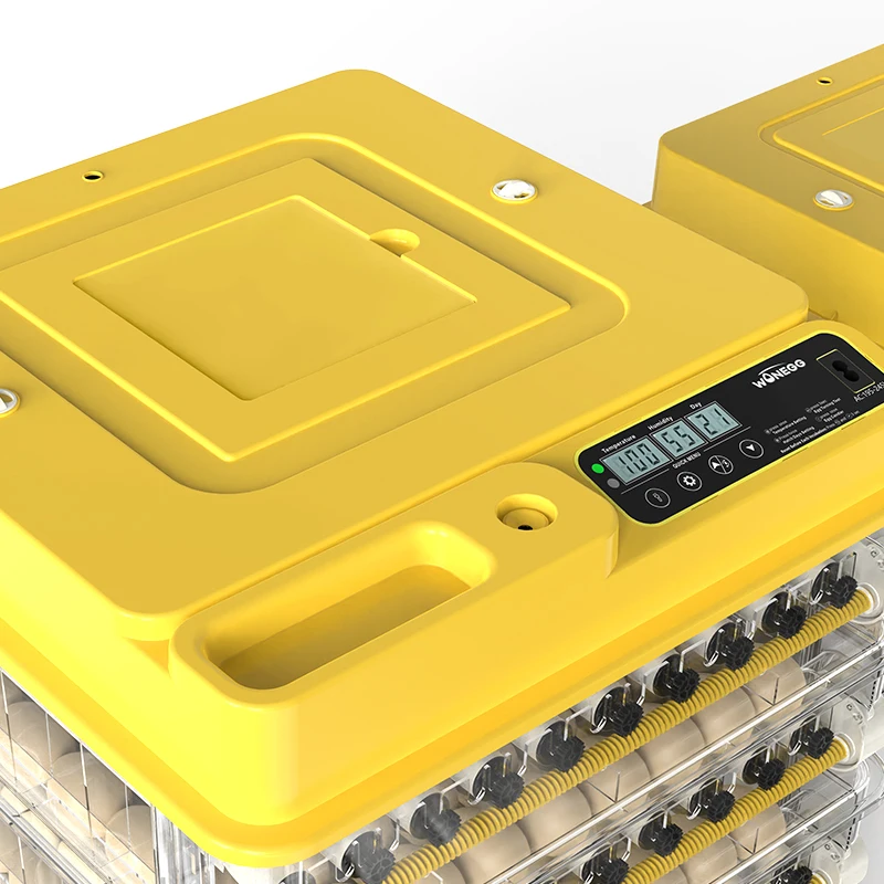 

HHD TW66 Dual Power Automatic Incubator & Hatchery, Multi-Layer Quail Poultry Hatching Machine