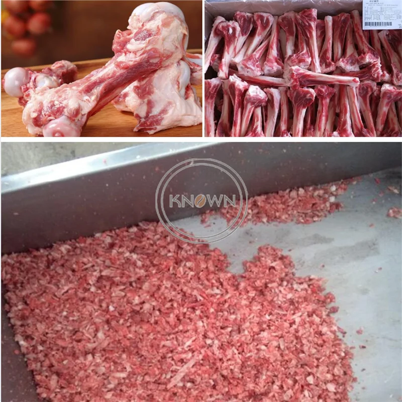 200 كجم/ساعة معجون عظم البقر ماكينة طحن سحق Pri كسارة عظام خنزير الدجاج للبيع