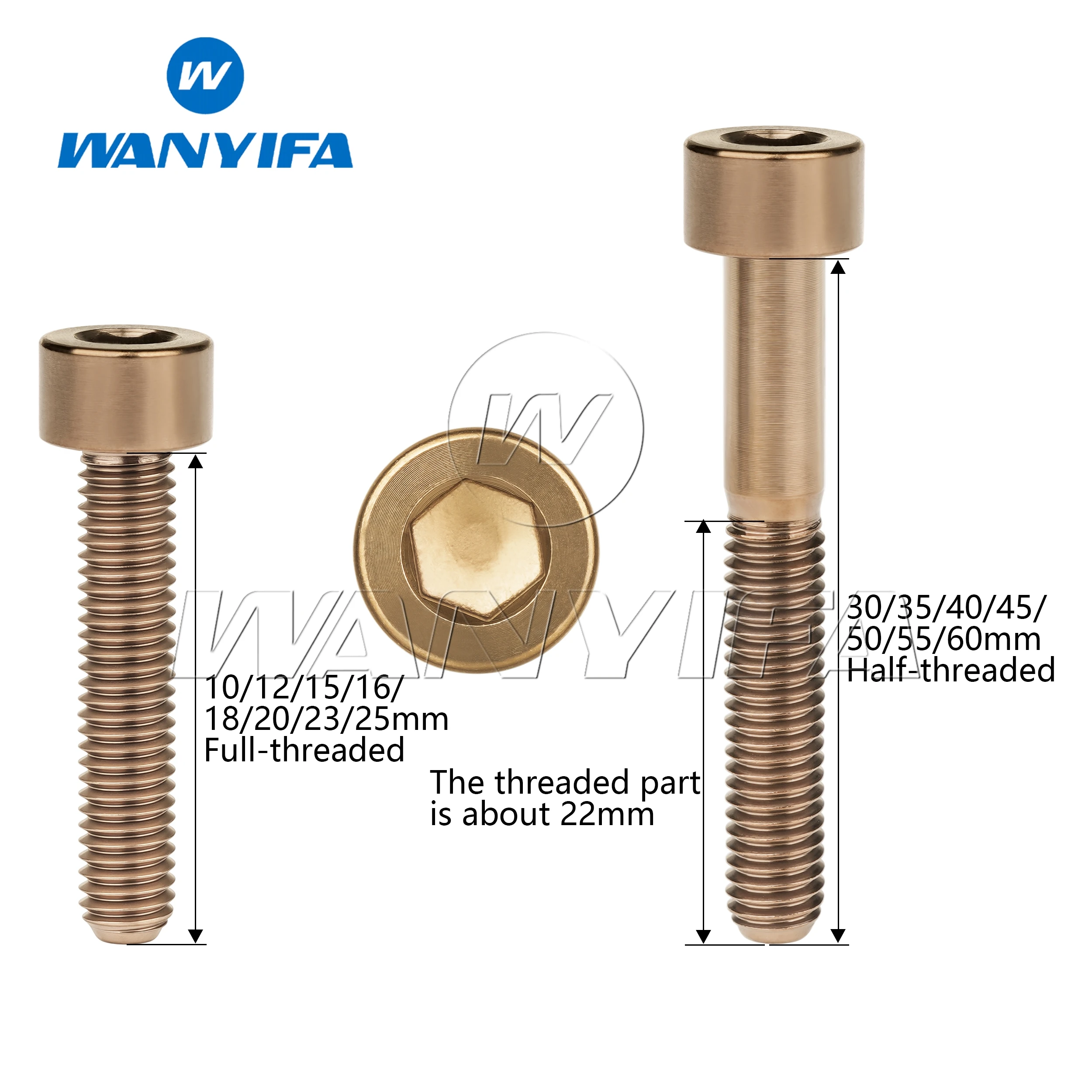 Variant: Bronze