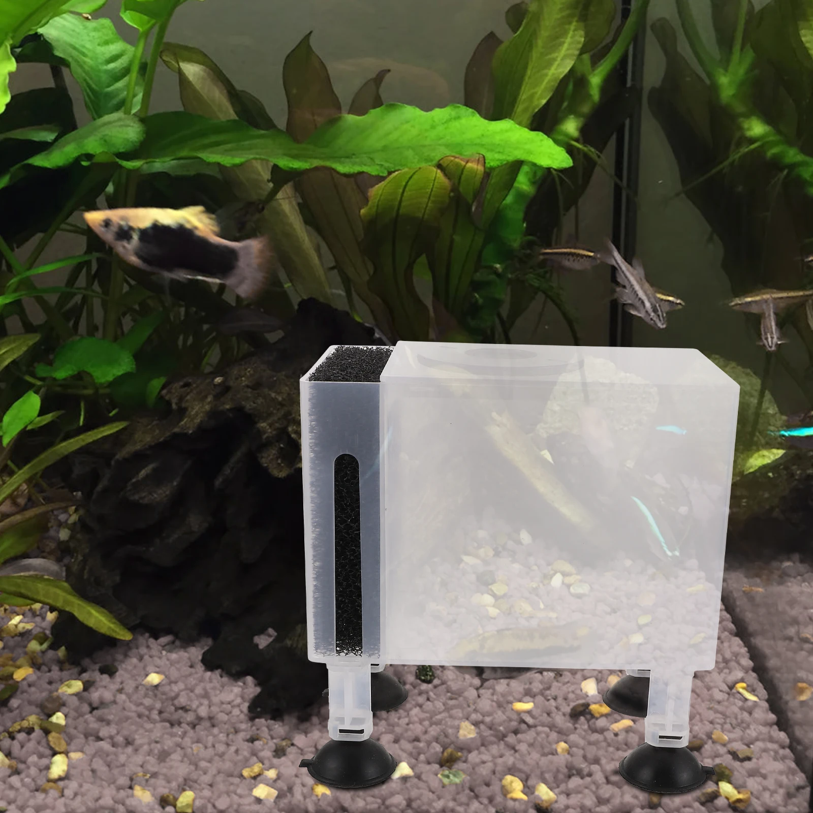 

High Quality Outdoor 150CM Large Transparent Water Pump Filter Protection Box Heavy Duty Compact Easy Assembly Fish Tank