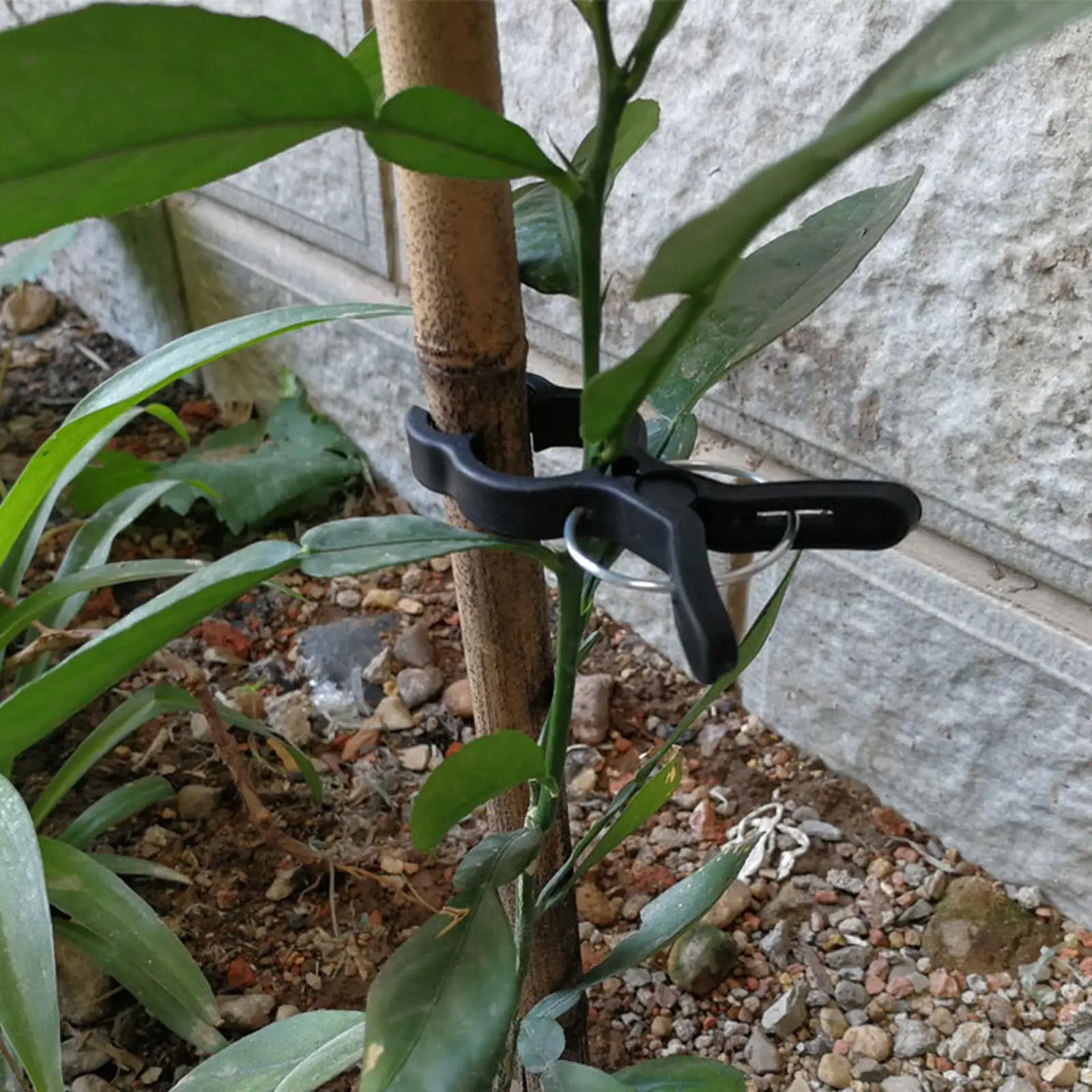 50Pcs Garden Plant Support Clips Durable Vines Flower Clamps Vegetables Plants