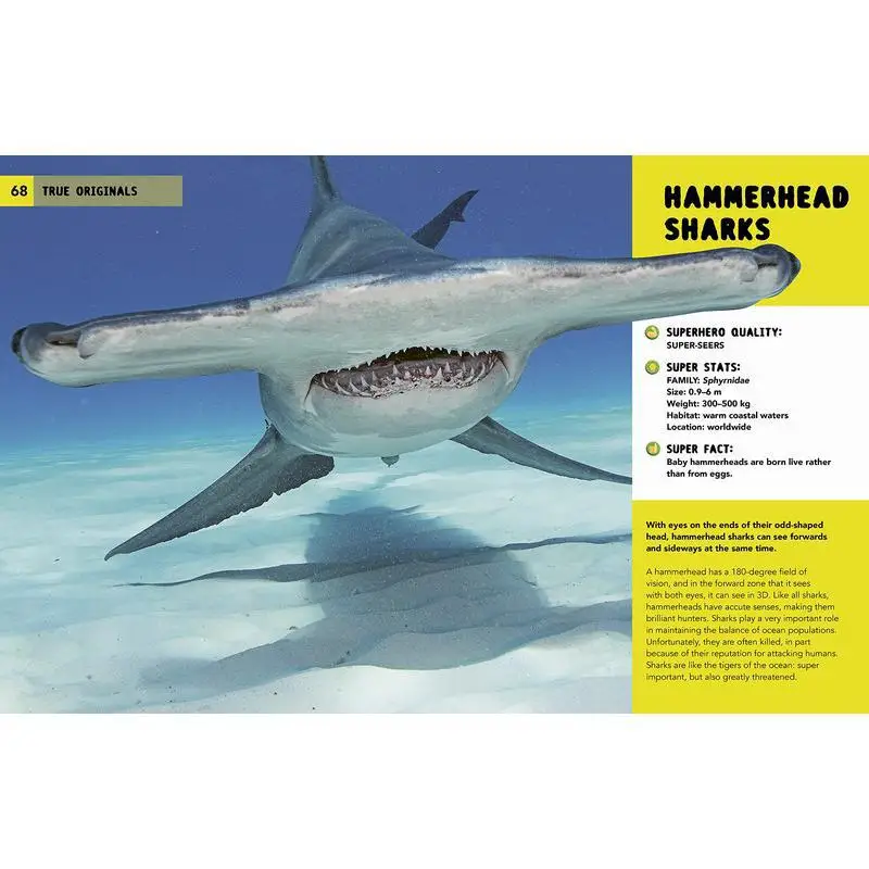 الأبطال الخارقين للطبيعة مهارات لا تصدق للبقاء والزهور جورج فيترمان كيد للنشر 9780711279995 كتاب #4