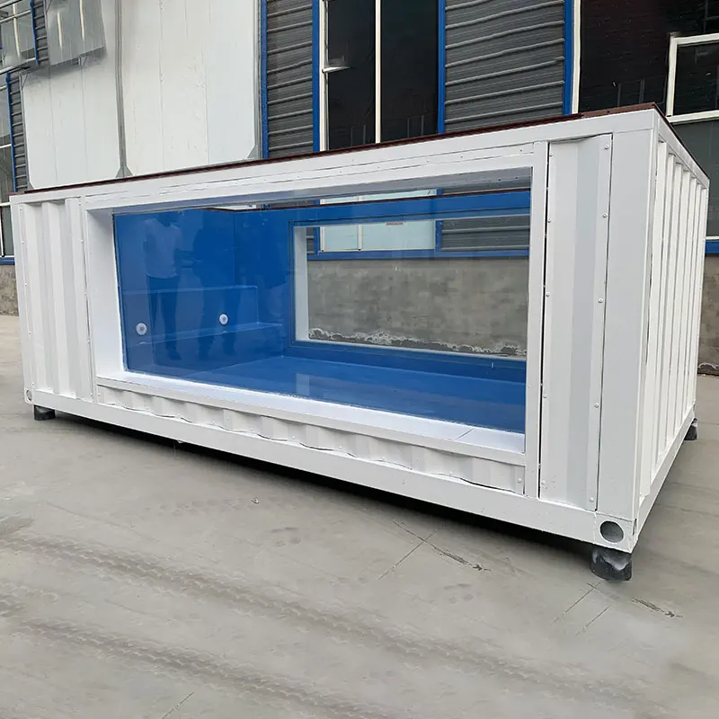 Customized Color Above Ground Family Swimming Pool Steps Heating Pump 20ft 40ft Container with Glass Window