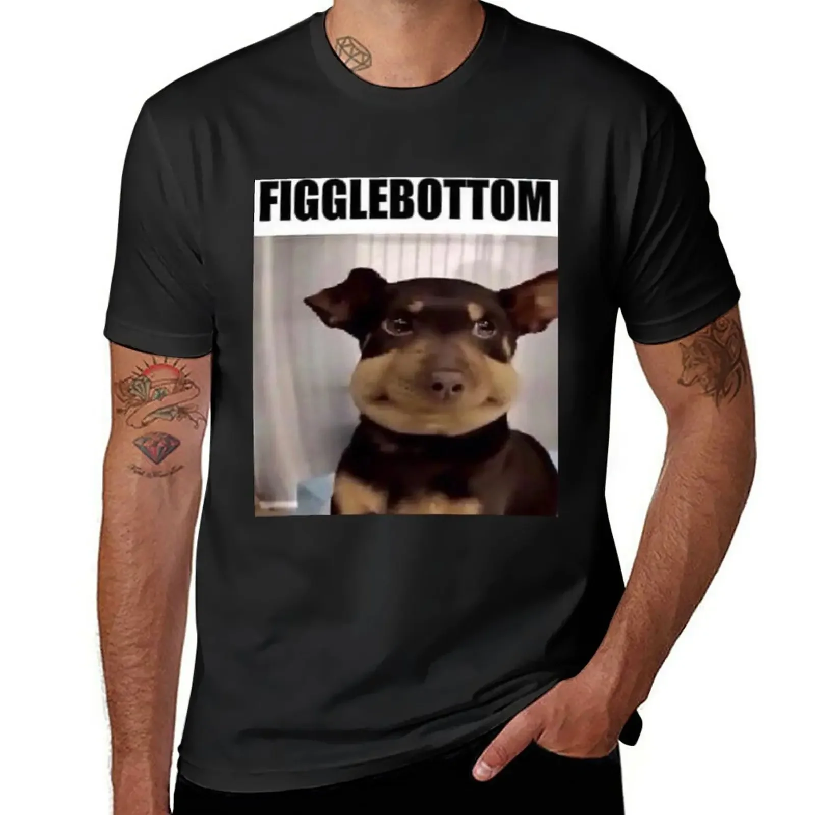 Figglebottom the Dog Meme Format T-Shirt vintage clothes tees Blouse mens graphic t-shirts pack