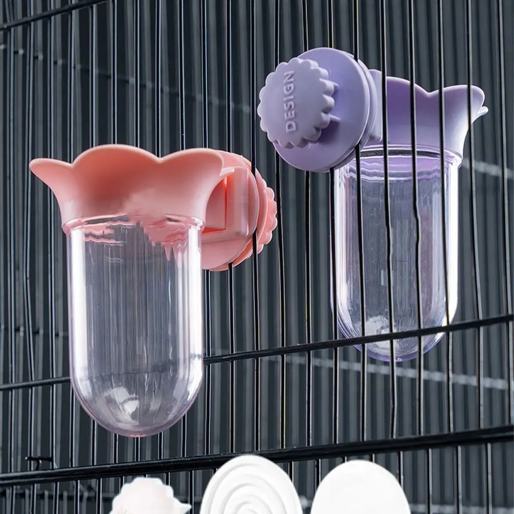 Transparent Parrot …