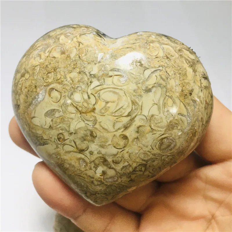 70mm Madagascar Dinosaur Bone  Crystal heart Sphere - Unique Geological Specimen for Collectors
