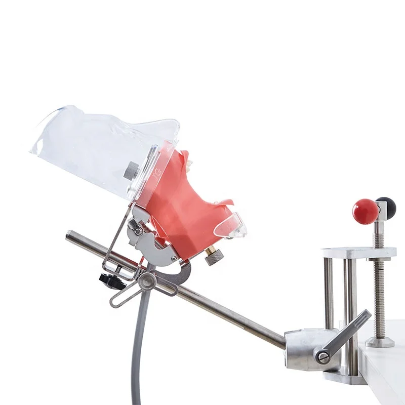 Nissin Manikin Phantom Head Models with clear Plastic Head for Various Types of den Training
