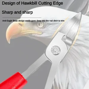 Mühürleyici corta cuticulas'taki 6 büyük satış-no. 4