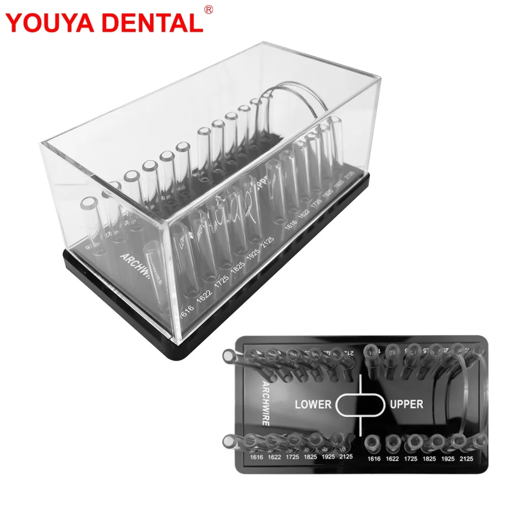 

Dental Orthodontic Wire Stand Organizer Dentistry Acrylic Ortho Arch Wires Holder Container Dentist Archwire Storage Box Case