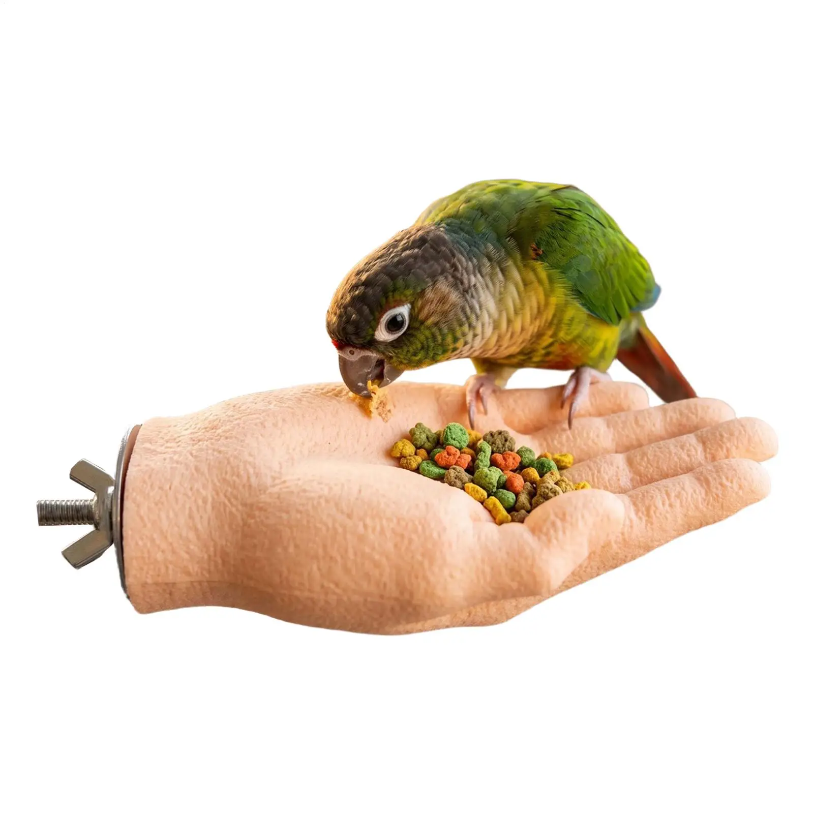 Bird Perch for Cage Step-Up Training Realistic Animals Enrichment Hand Shape Parrot Bird Perch Stand for Cockatiels Parakeets