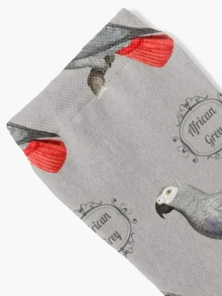 African Grey Parrot. Classic Design Socks sheer cartoon cool new in's Socks Women's Men's