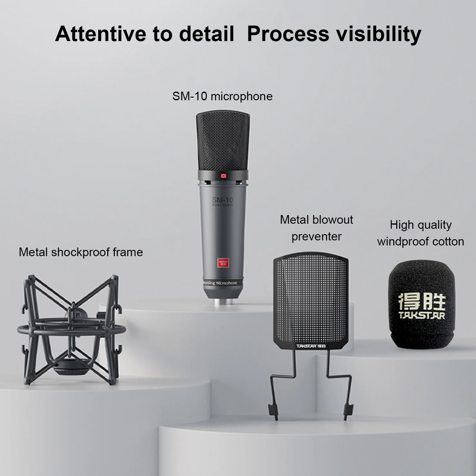 TAKSTAR SM-10 Unidirectional Recording Microphone Metal Structure XLR Connector Metal Windscreen Shock Mount 48V Phantom Power