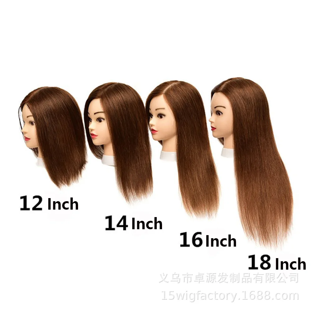 

100% Human Hair Teaching Head Practice Head Bleaching Dyeing Curly Hair Perm Hair Cut Hair Stylist Training Head Model Wig Head